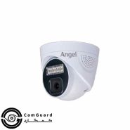 CG-DIP341PC
