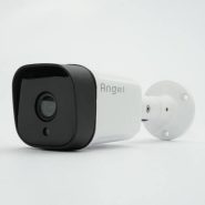 CG-BIP361MR